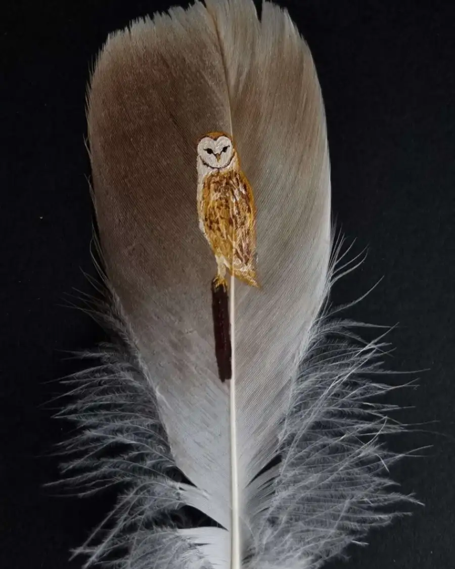 Barn owl painted on an owl feather