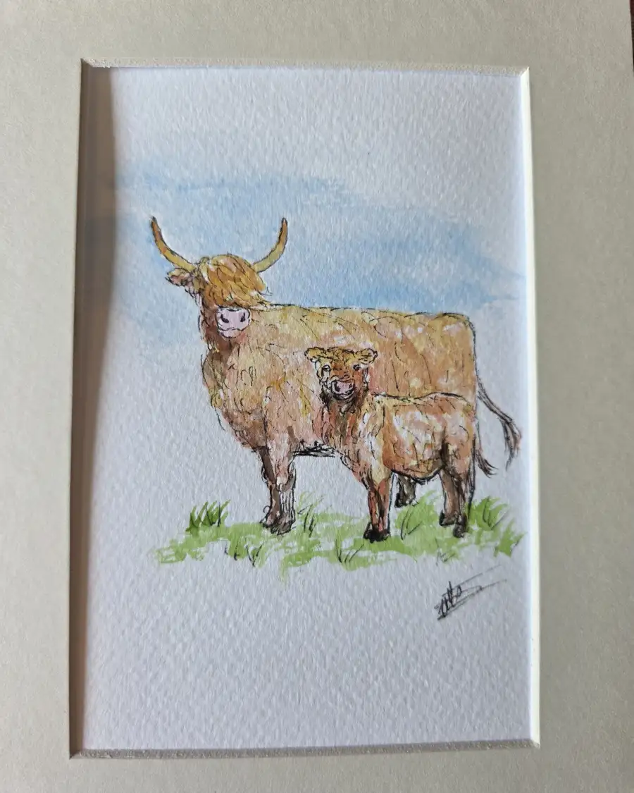 Mini Original watercolour of a heiland coo