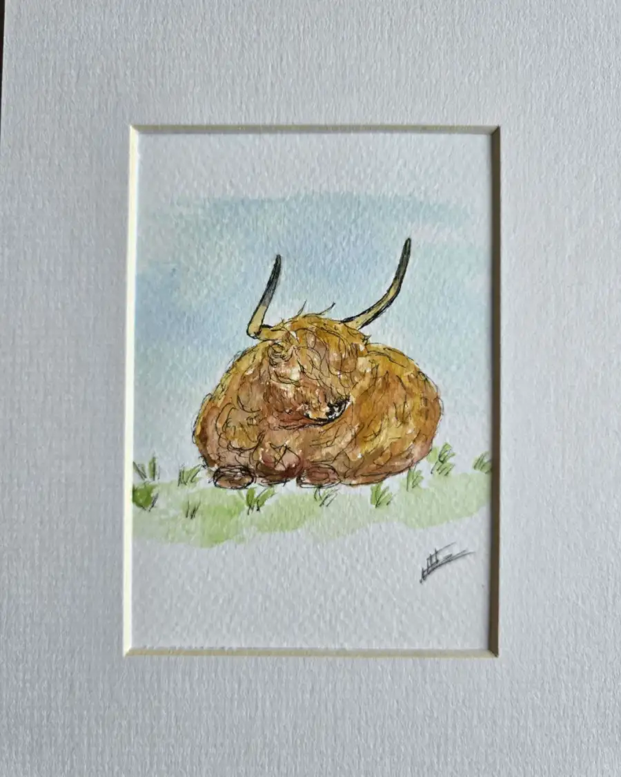 Mini Original watercolour of a heiland coo