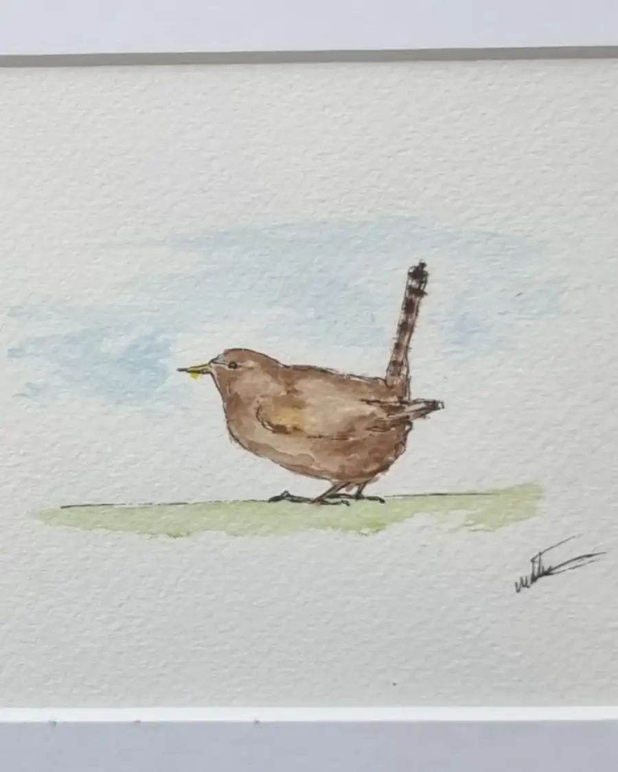 Mini Original Watercolour of a wren
