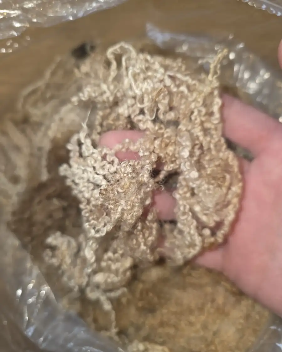 Blueface Leicester wool- 375g