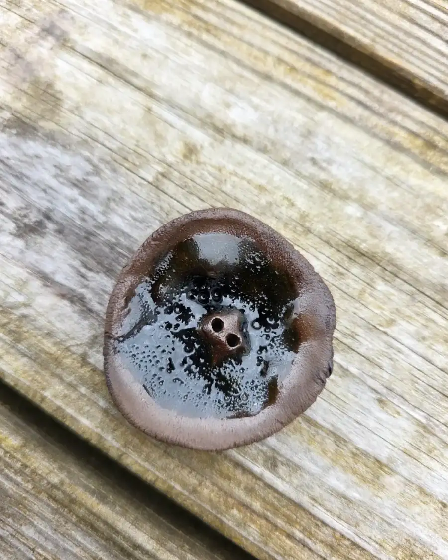 Ceramic button rockpool