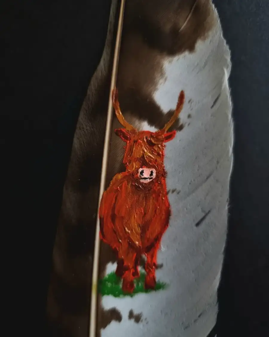 Heiland coo painted on a buzzard feather
