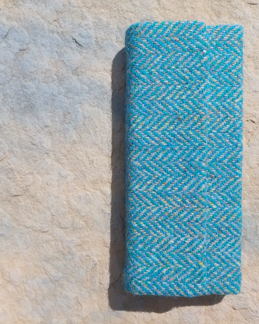 Glasses case