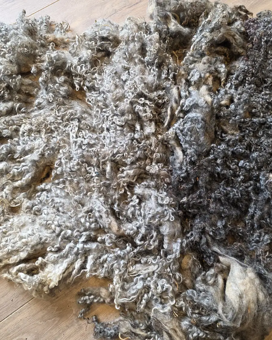 Gotland fleece 680g