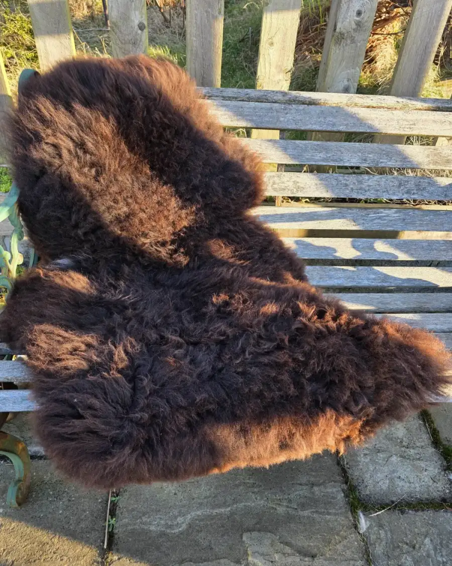Mule Sheepskin
