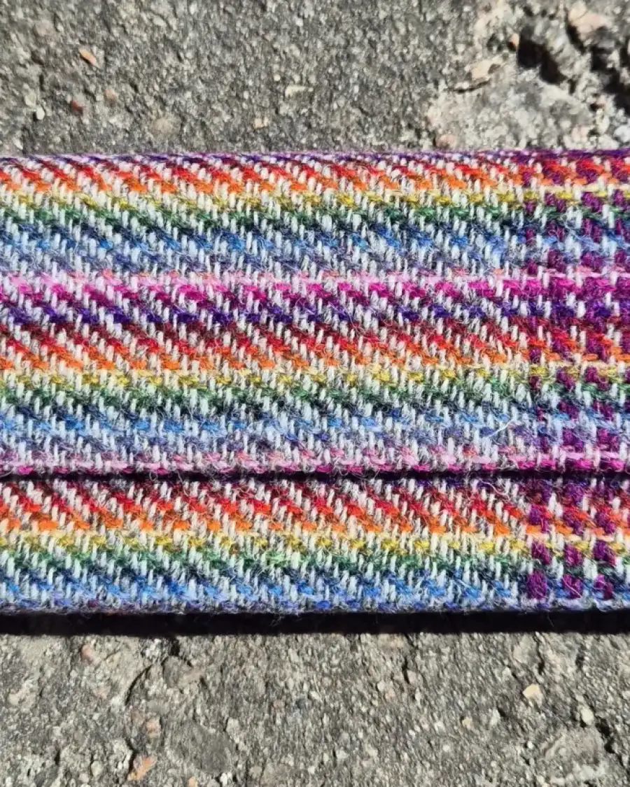 Glasses case