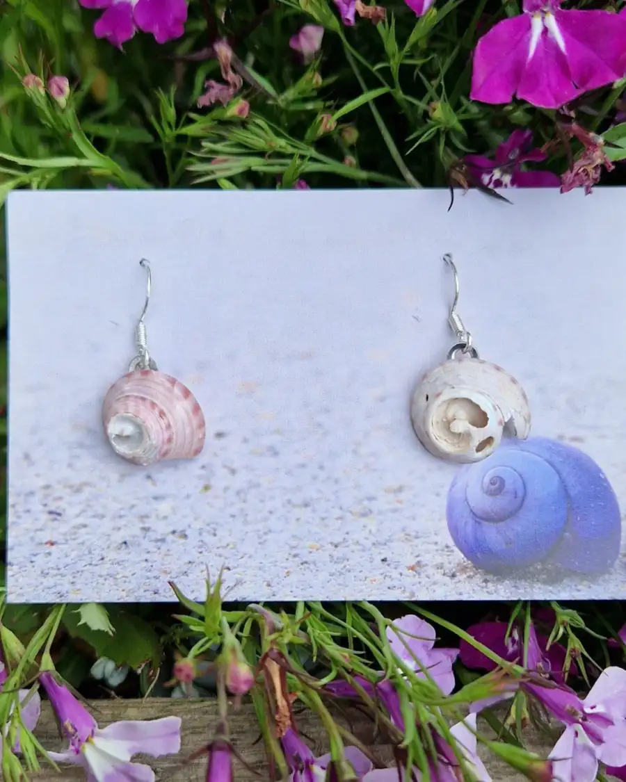 Sea Shell Earrings