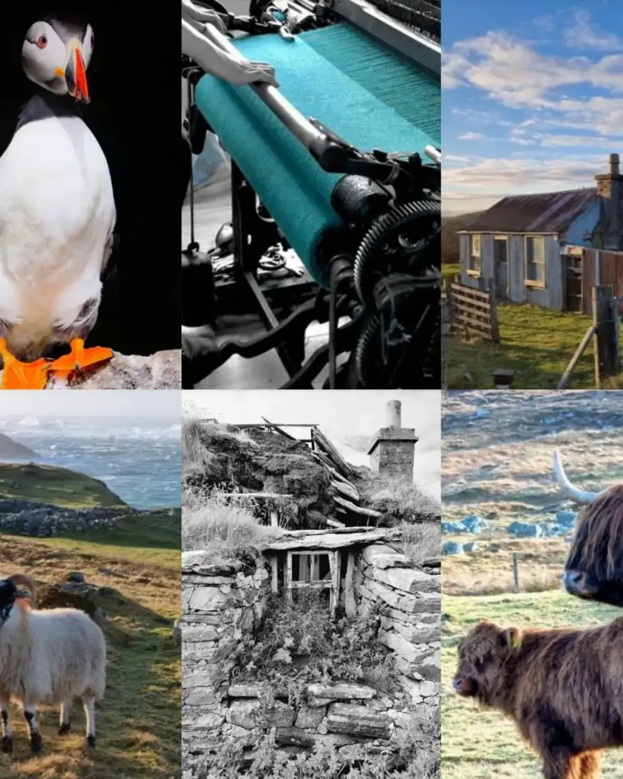 Greetings cards pack of 6 - Hebridean