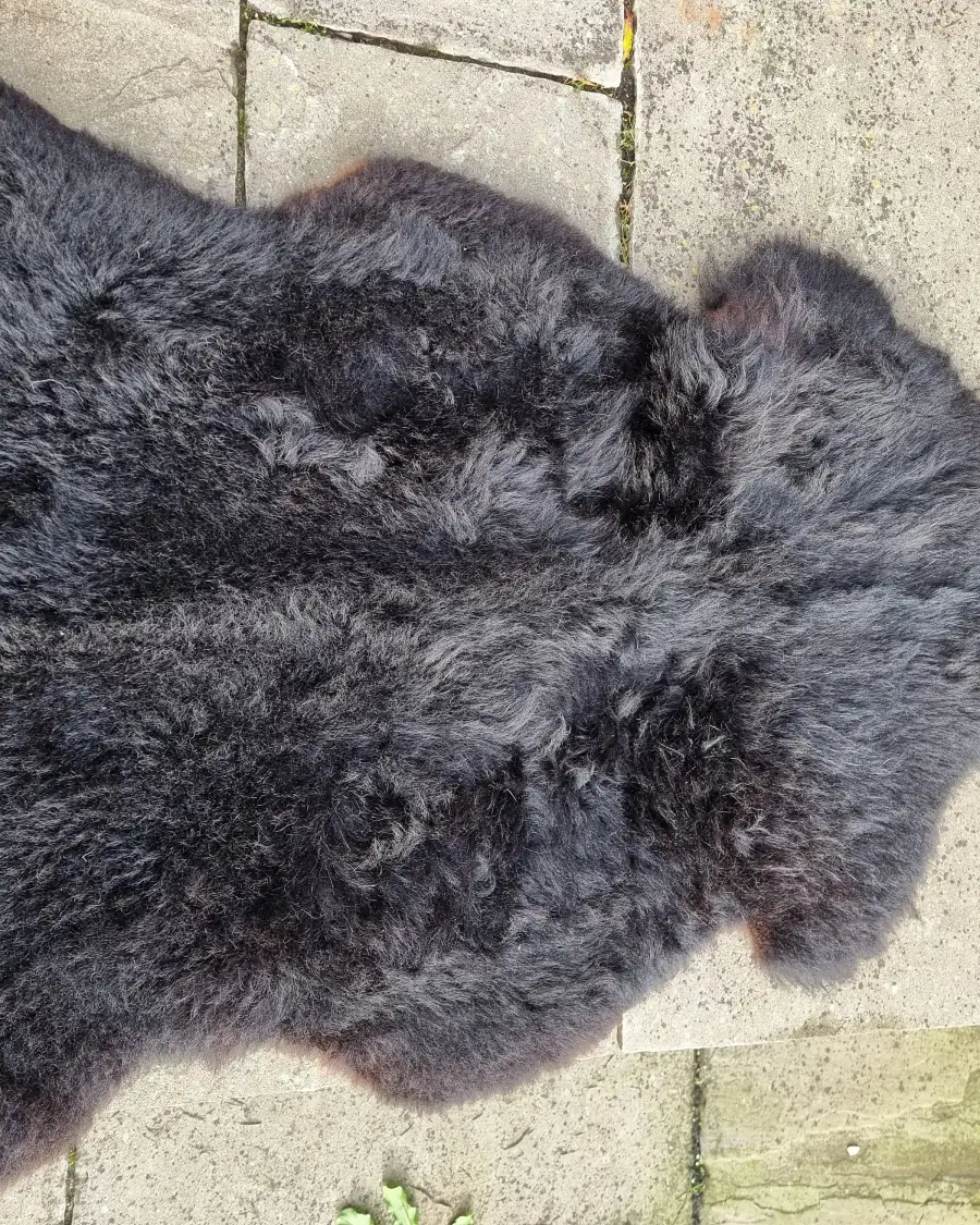 Hebridean Sheepskin