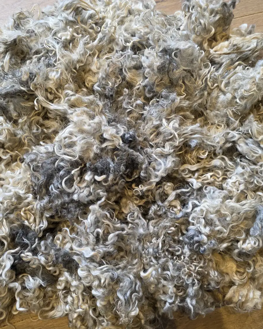 Gotland lambswool 434g