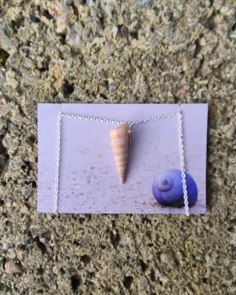 Sea shell necklace