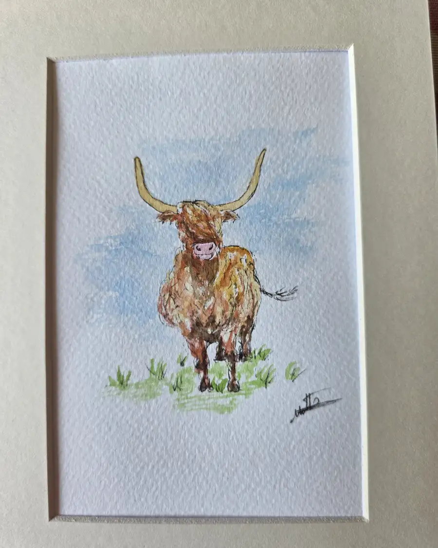 Mini Original watercolour of a heiland coo