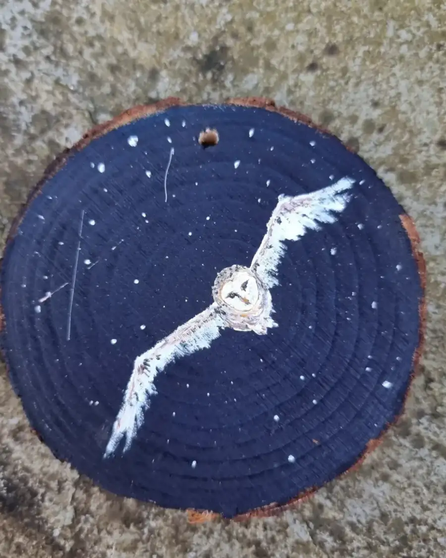 Barn owl on wood slice