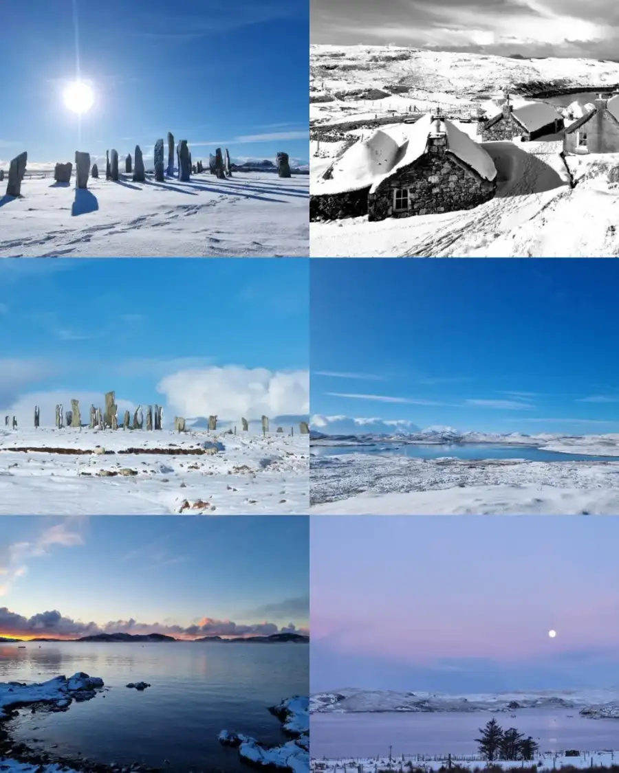 Greetings cards pack of 6 - winter