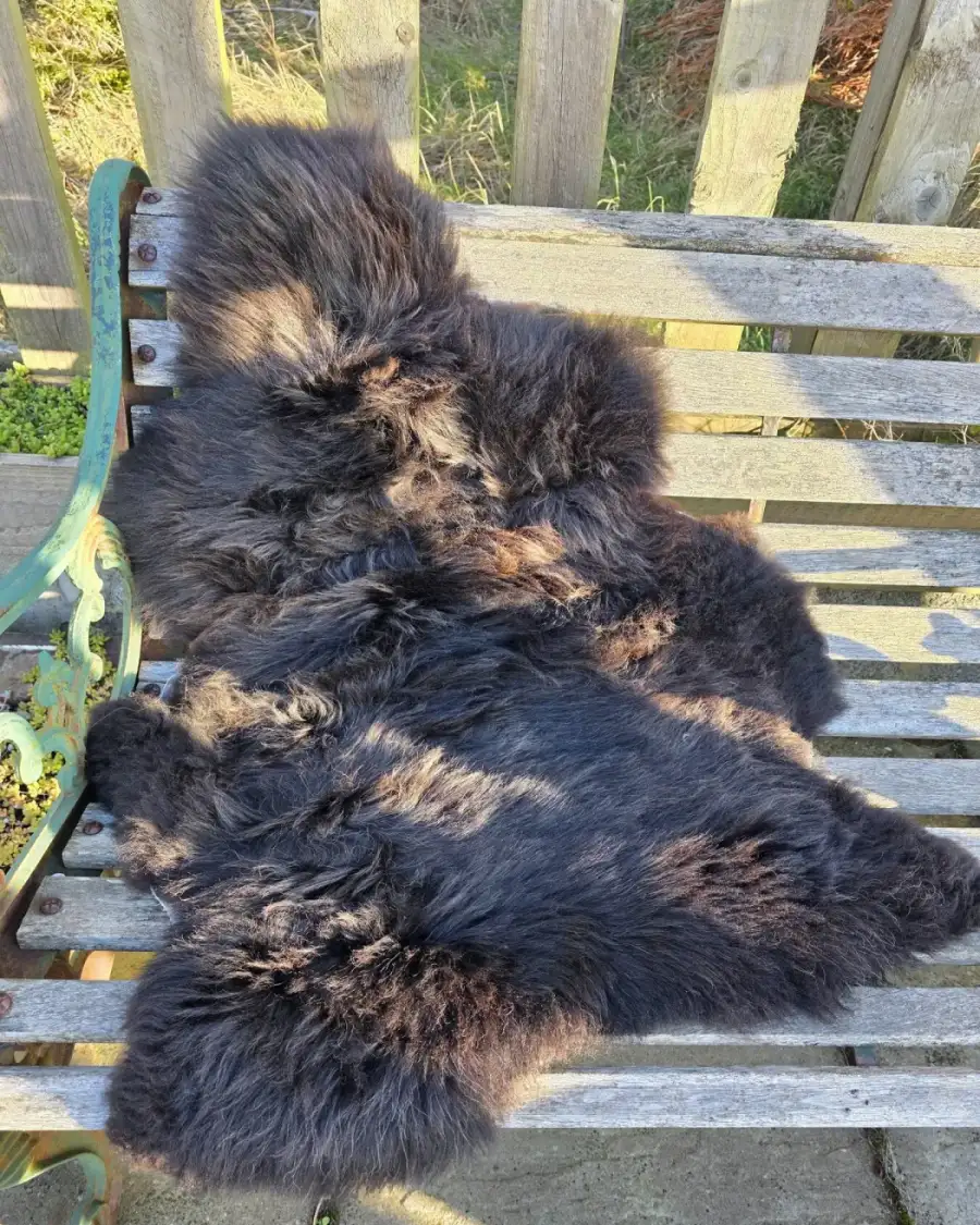 Hebridean Sheepskin