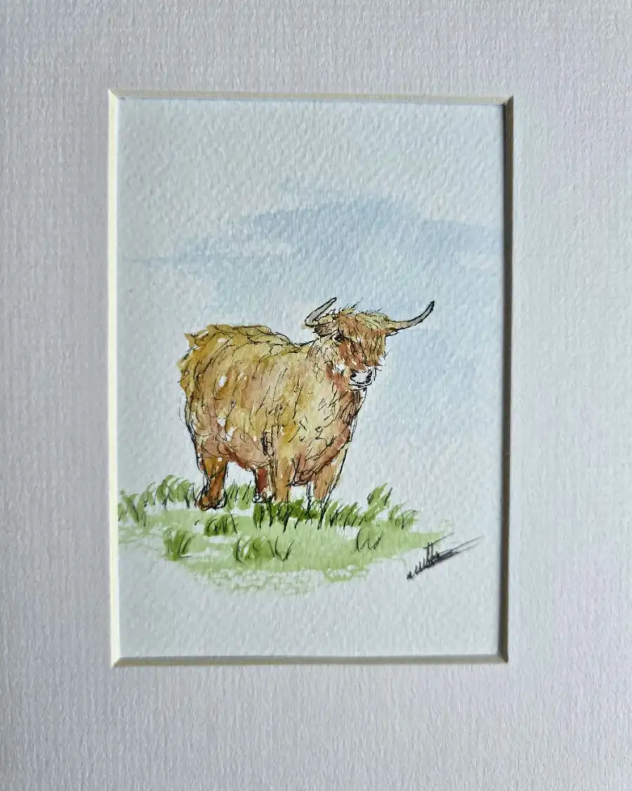 Mini Original watercolour of a heiland coo