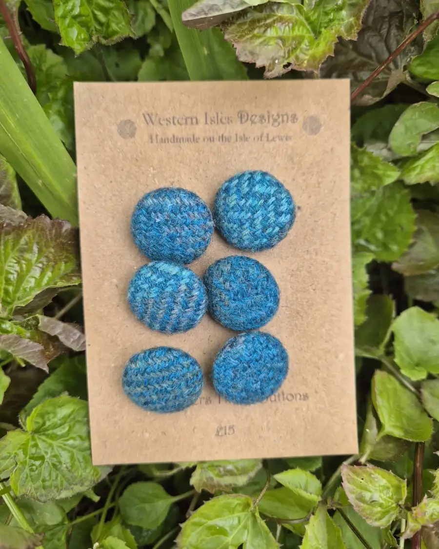Two Sisters Tweed buttons - 10