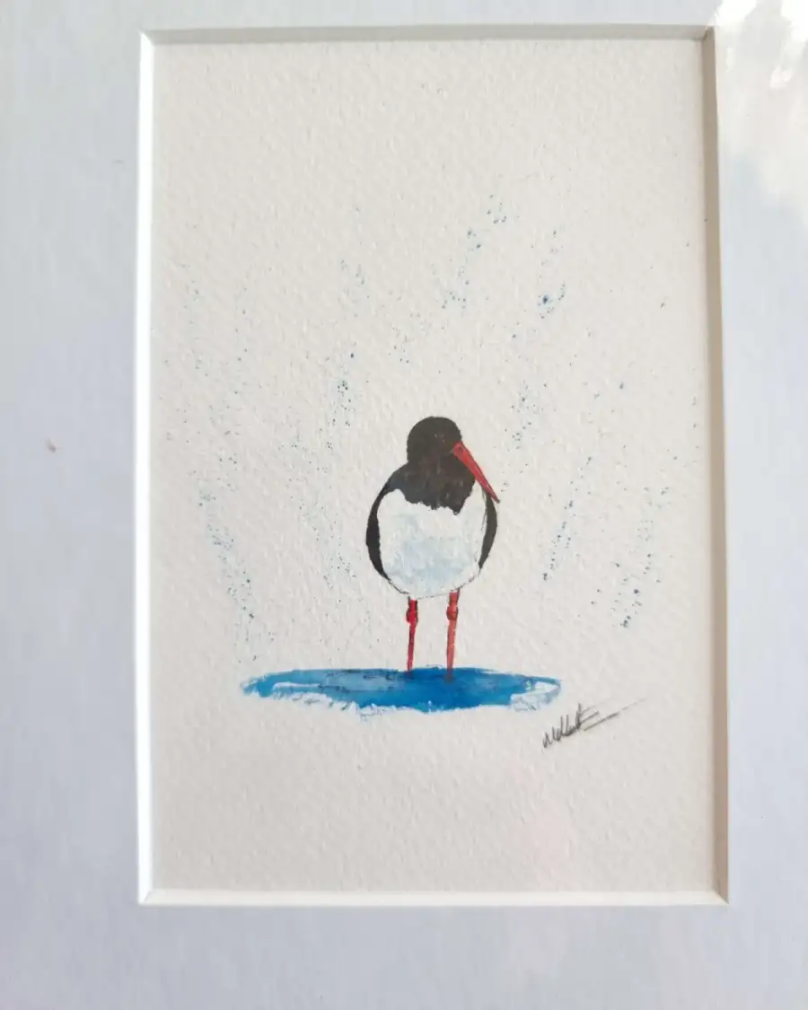 Mini Original Watercolour of an oystercatcher