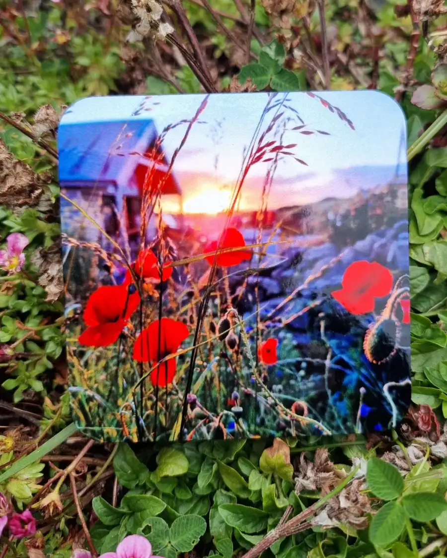 Coaster - poppies