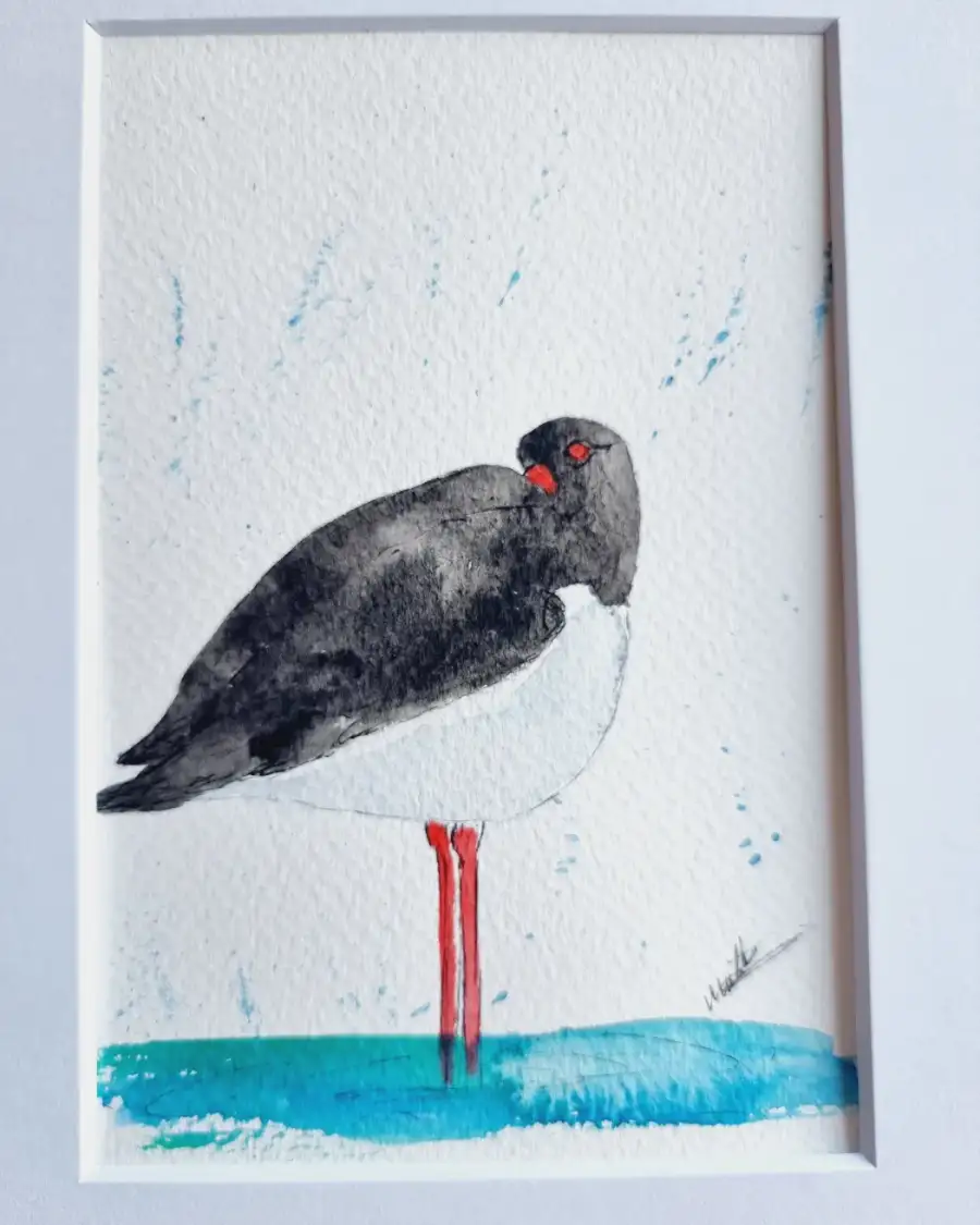 Mini Original Watercolour of an oystercatcher