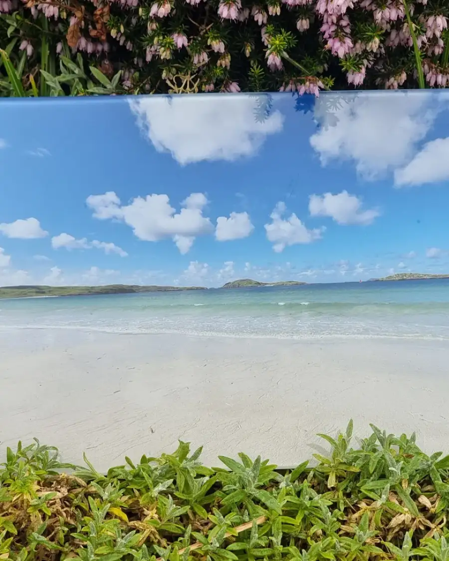 Glass Placemat Reef Beach