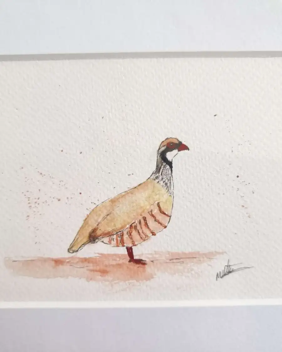 Mini original Watercolour of a partridge