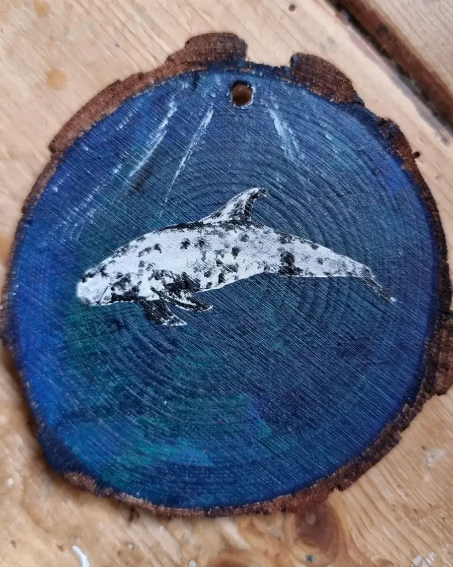 Rissos dolphin on wood slice