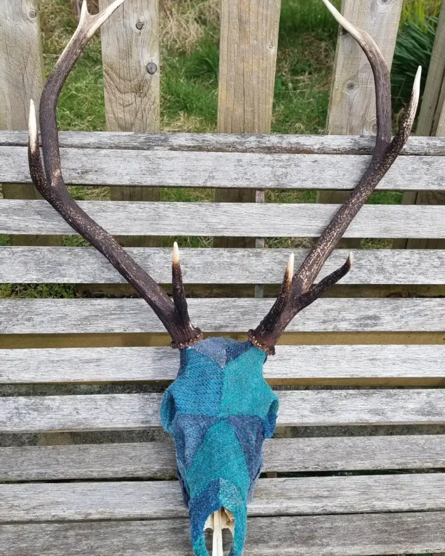 Tweed covered stag skull