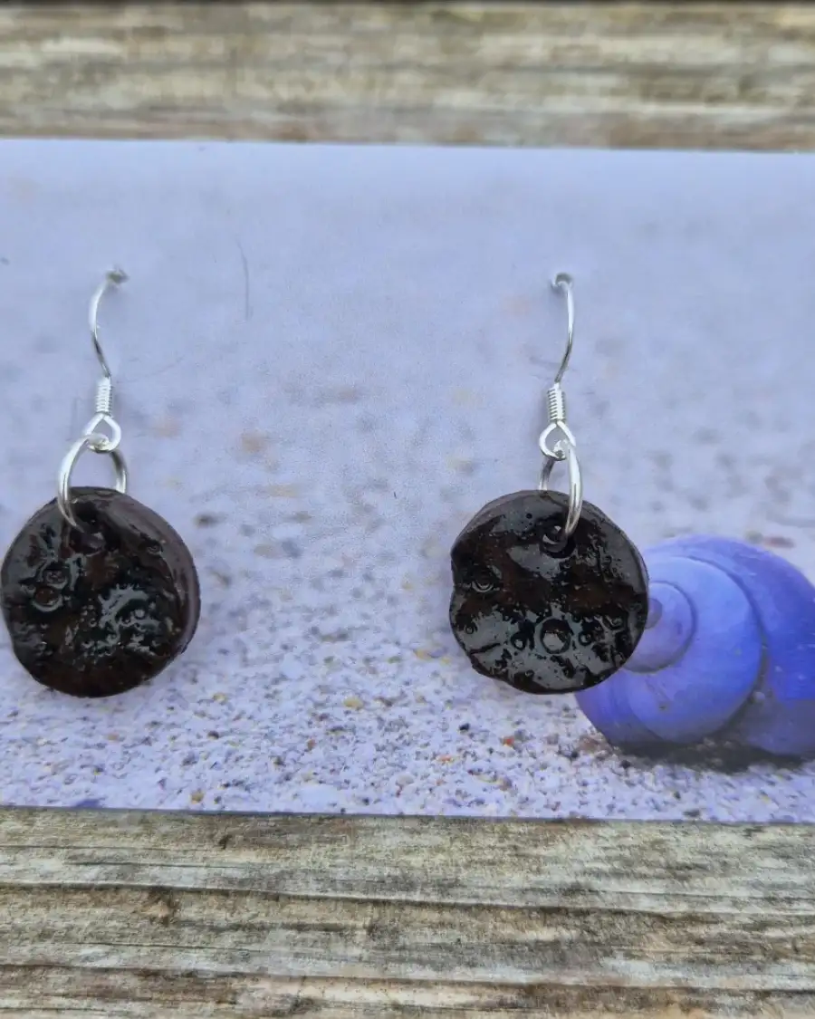 Ceramic Earrings