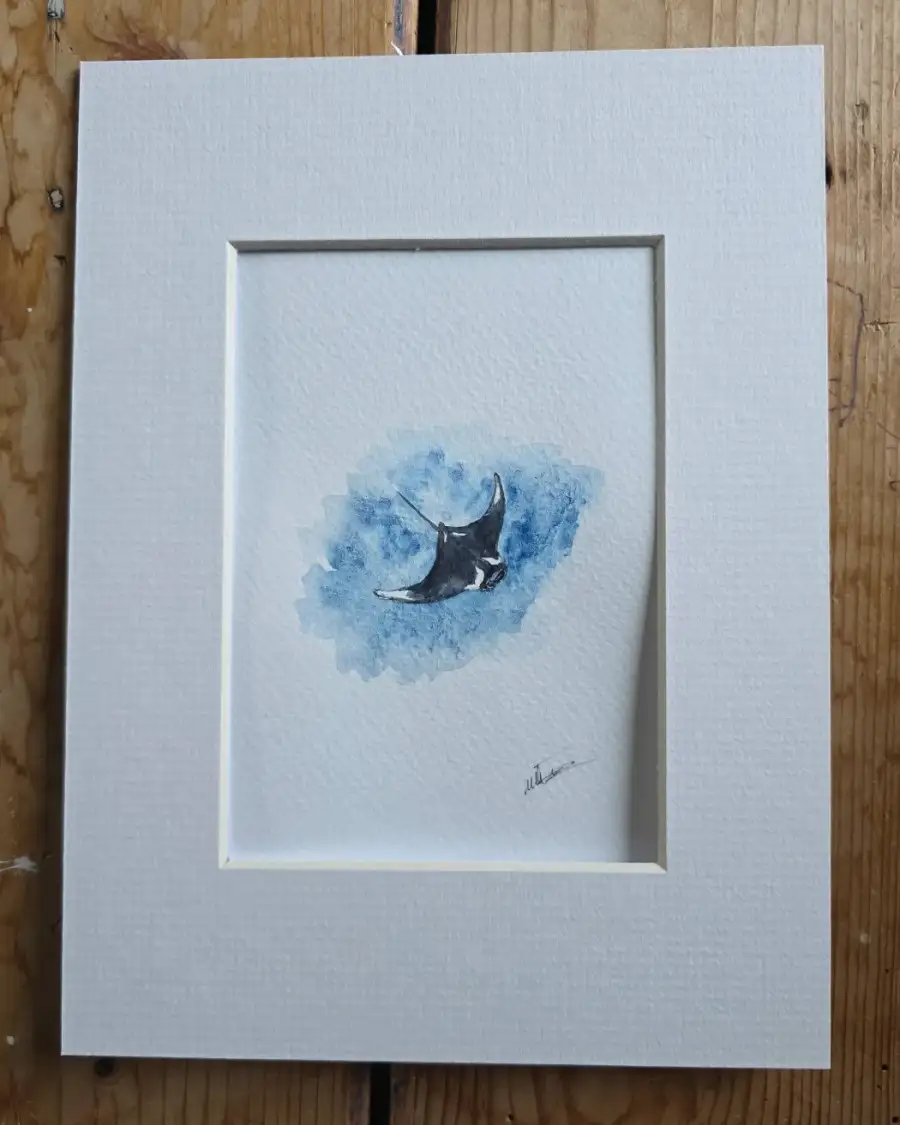 Mini Original watercolour of a manta ray
