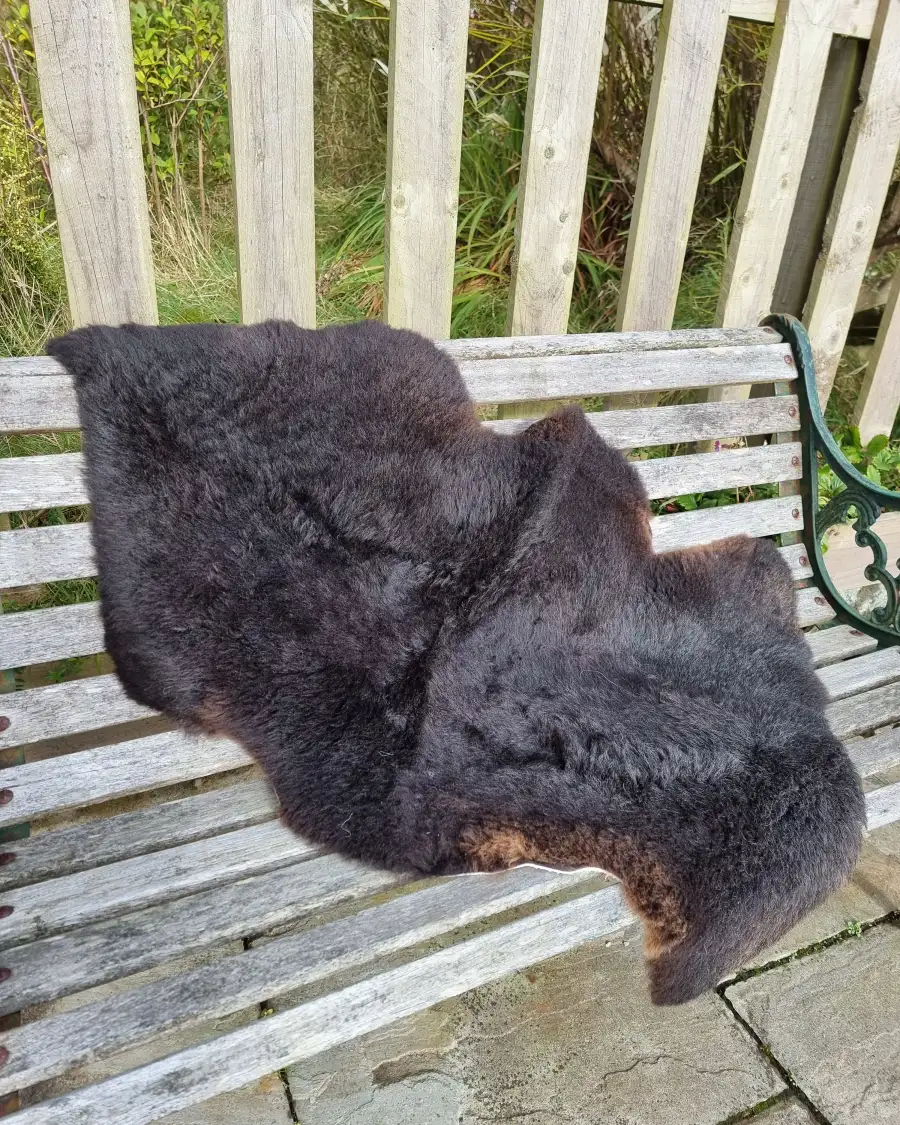Hebridean Sheepskin