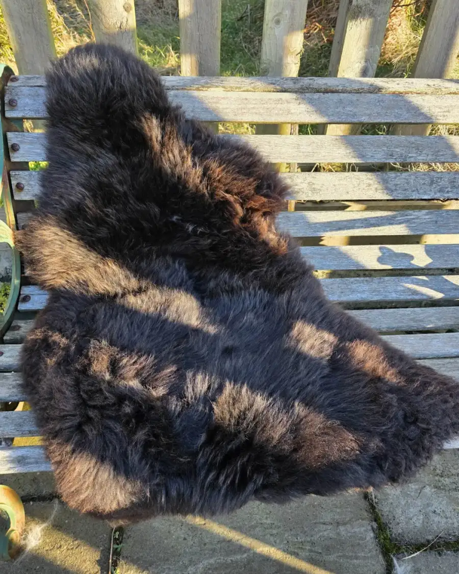 Hebridean Sheepskin