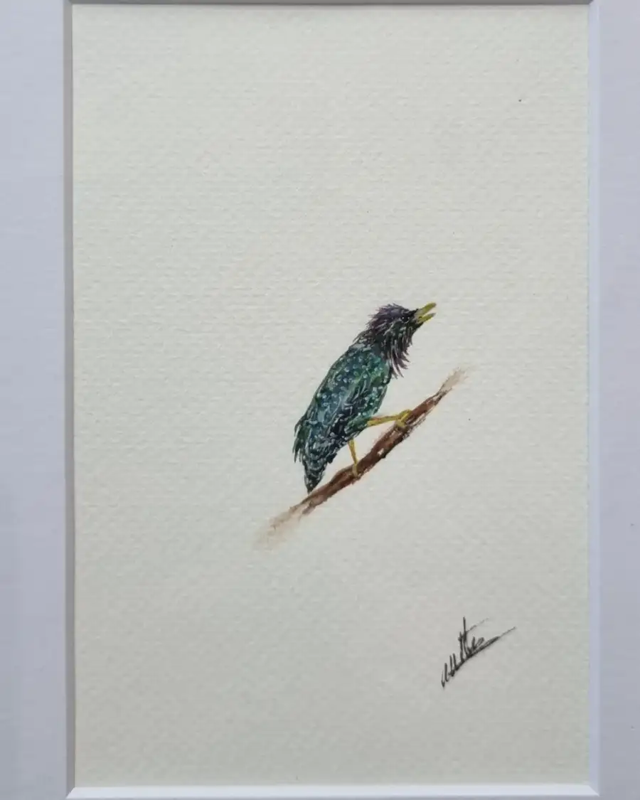 Mini Original Watercolour of a starling