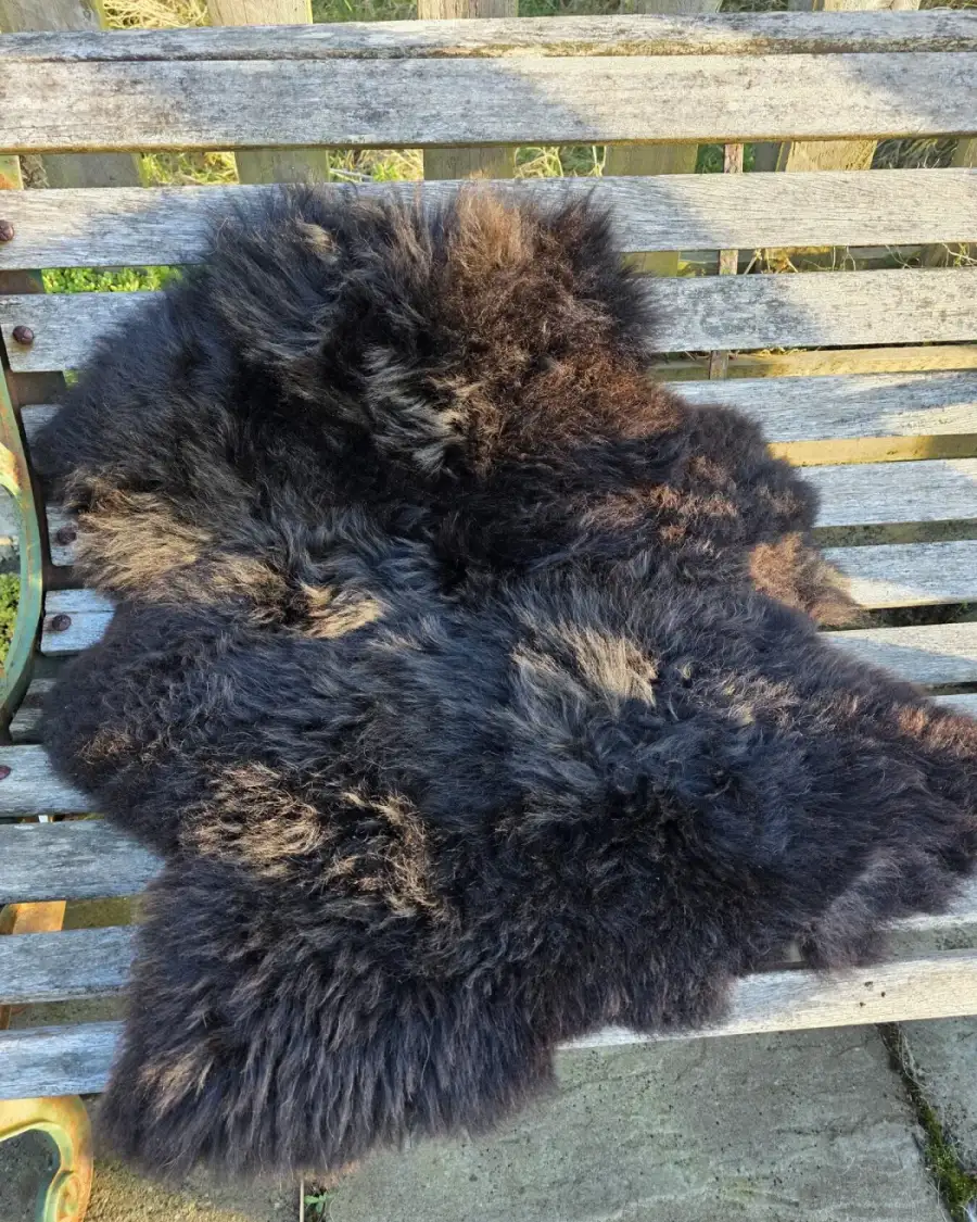 Hebridean Sheepskin (small)