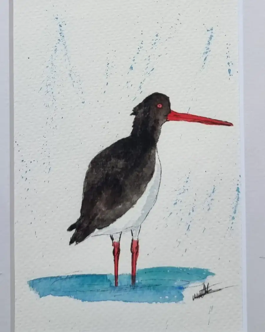 Mini Original Watercolour of an oystercatcher