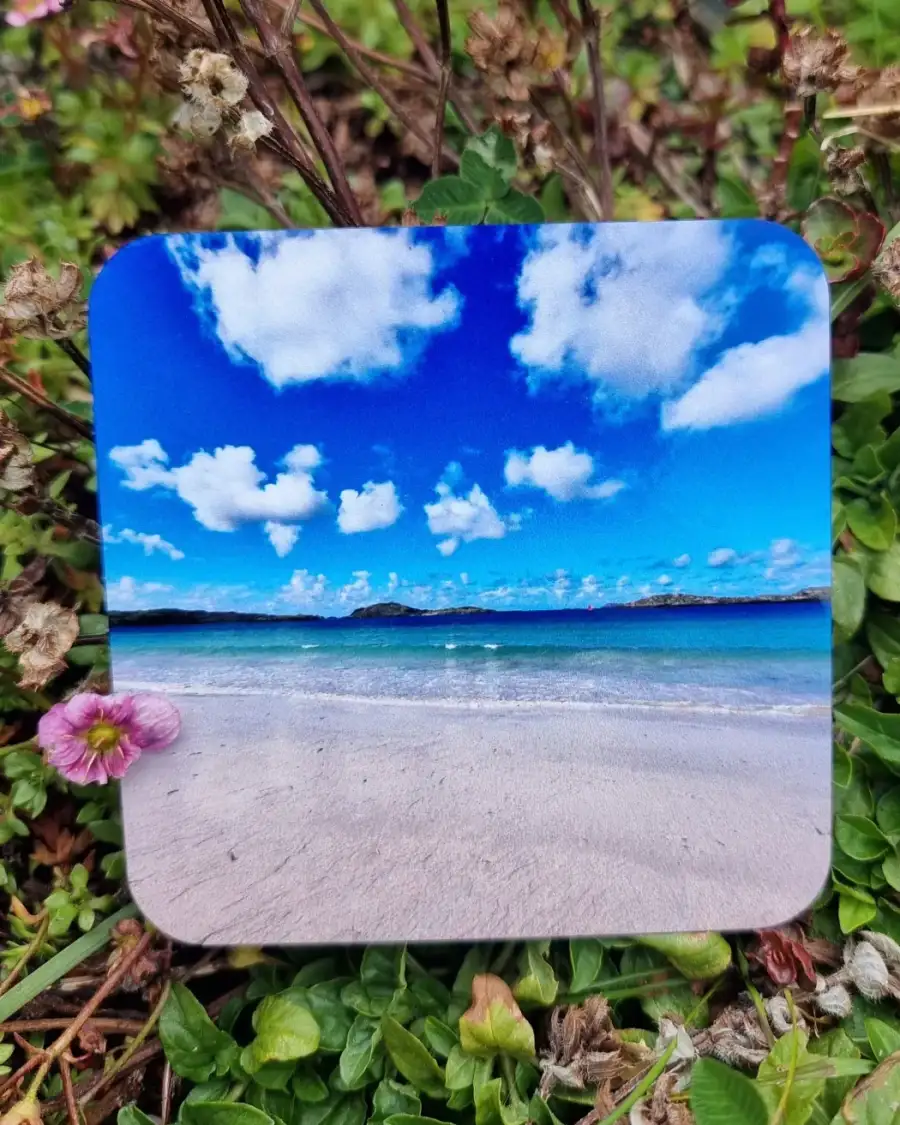 Coaster - Reef beach
