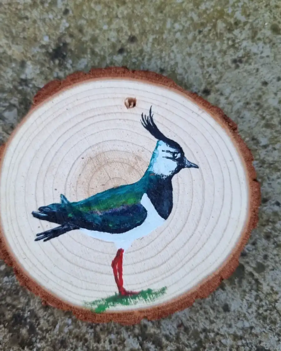Lapwing on wood slice