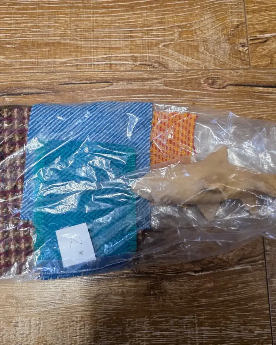 Mini mini shark craft pack