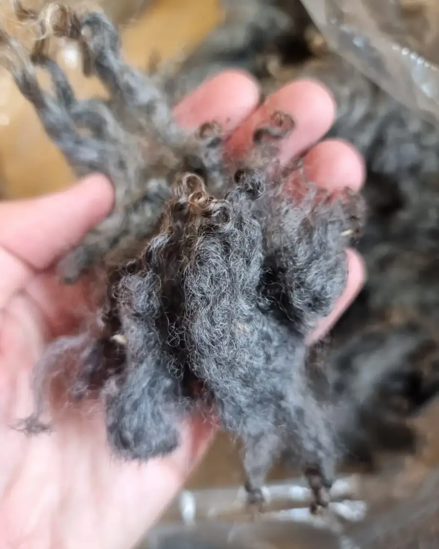 Gotland lambswool 350g
