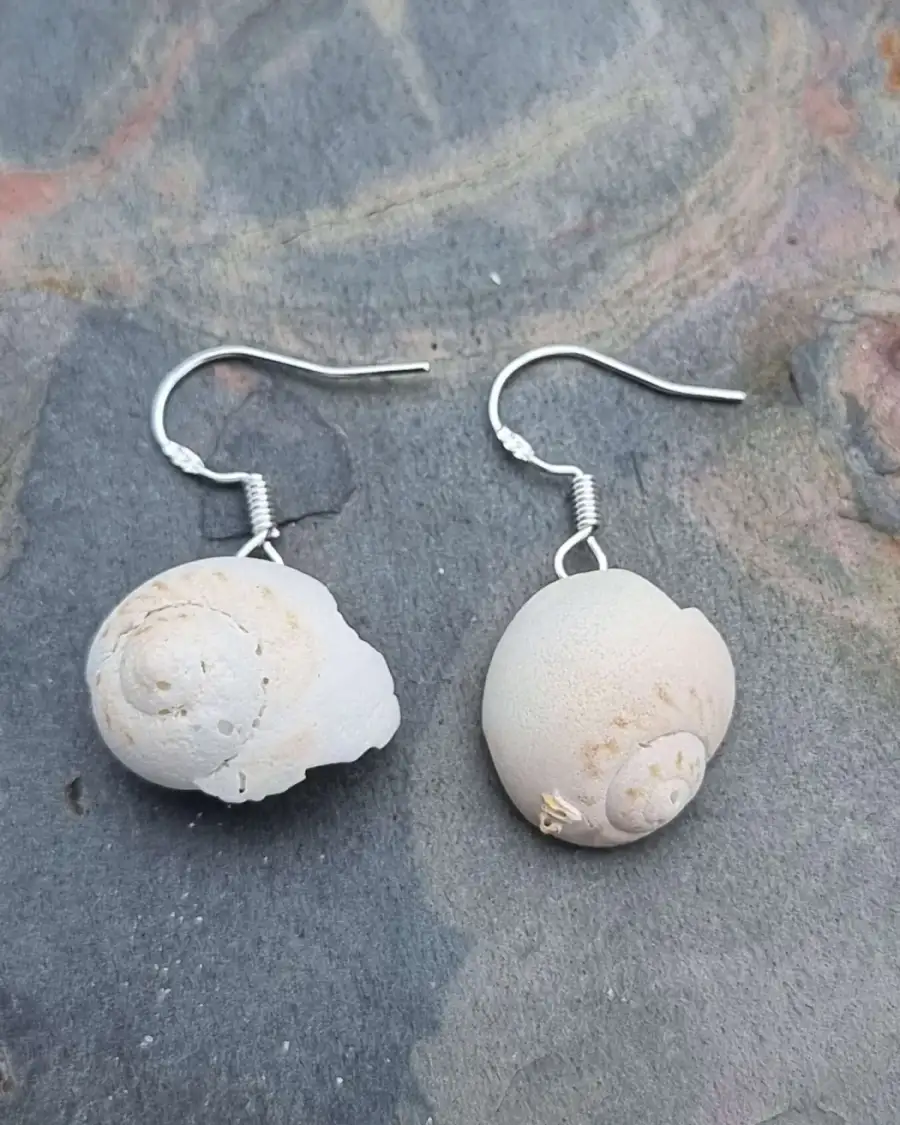Sea Shell Earrings - Luskentyre