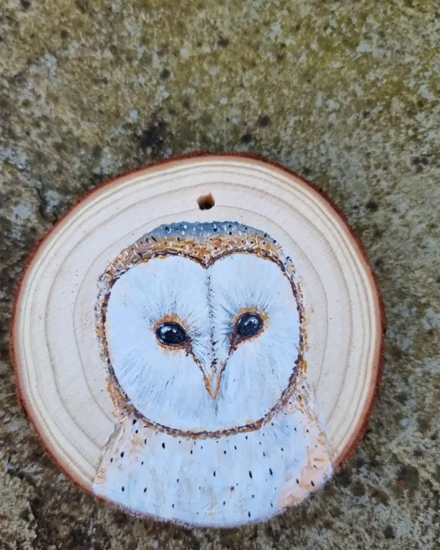 Barn owl on wood slice
