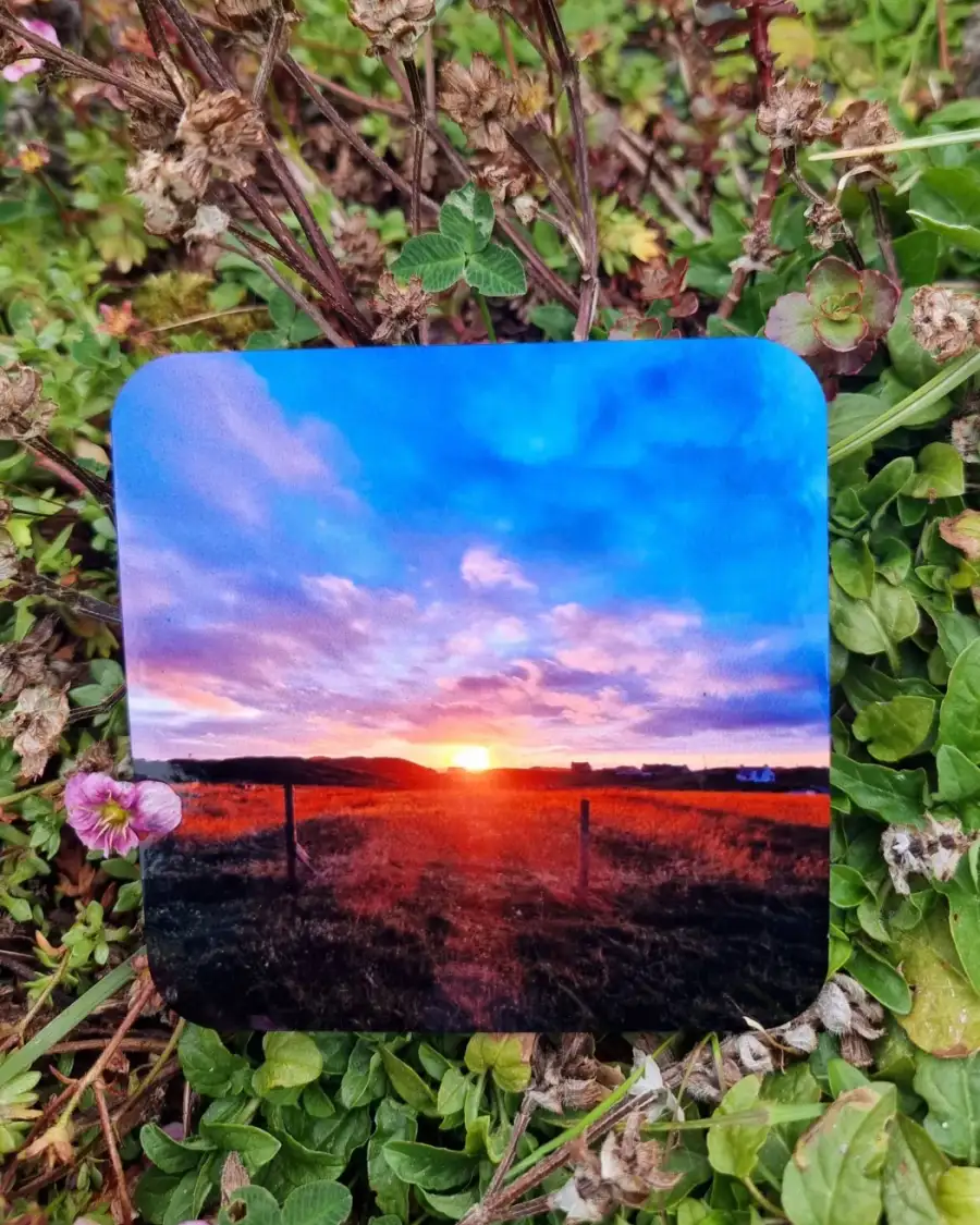 Coaster - sunrise over the croft