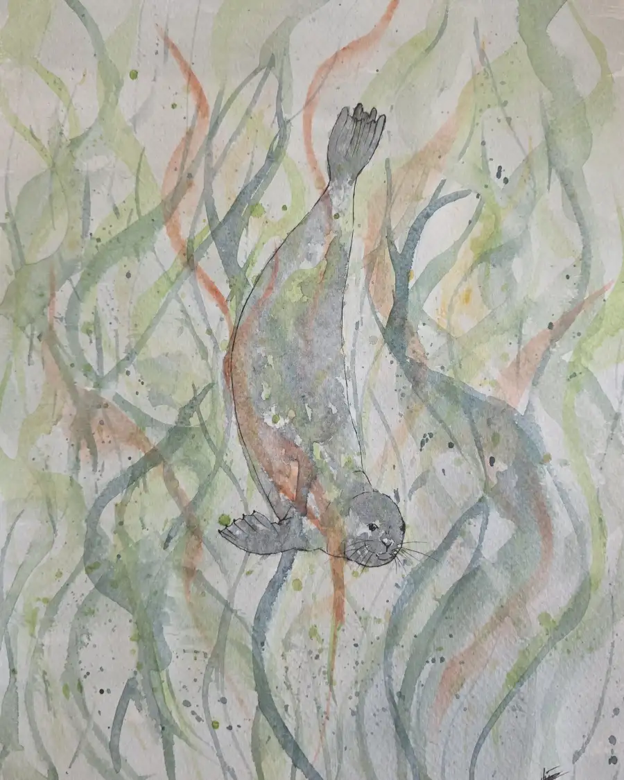 Medium Original watercolour of a seal