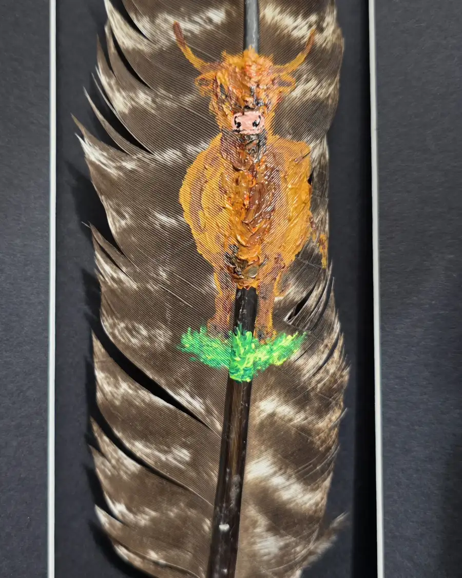 Heilan coo painted on a buzzard feather