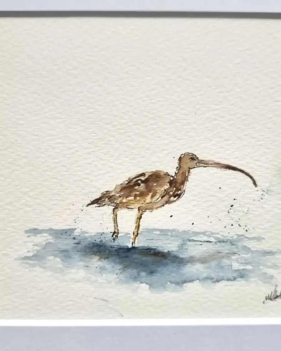 Mini Original Watercolour of a curlew