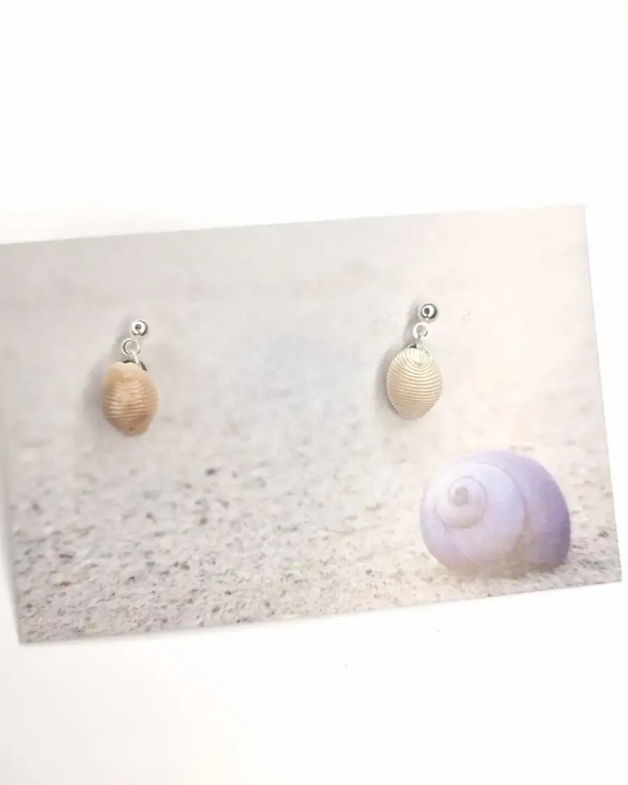 Shell Stud Earrings - Berneray