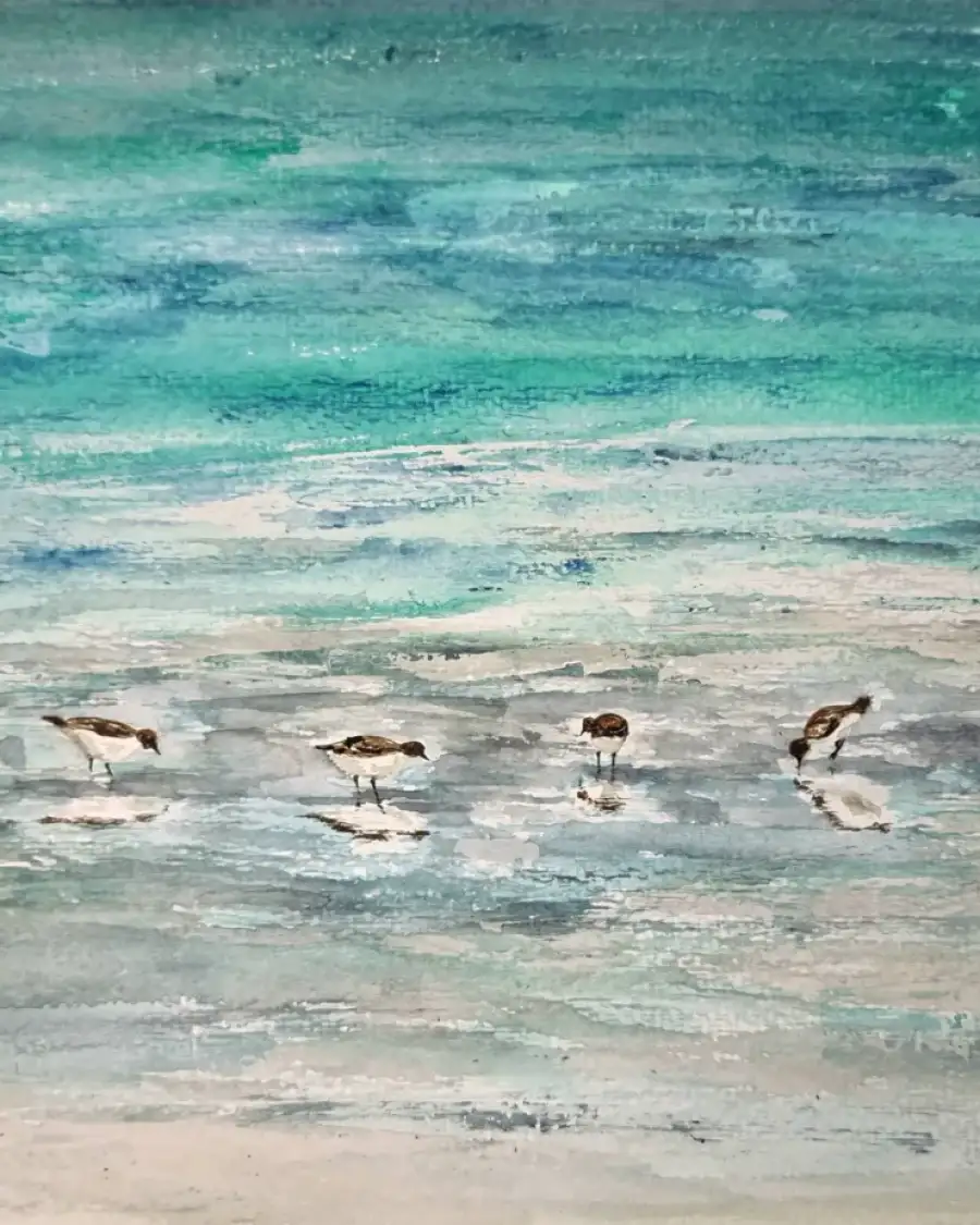 Large Original watercolour of sanderlings