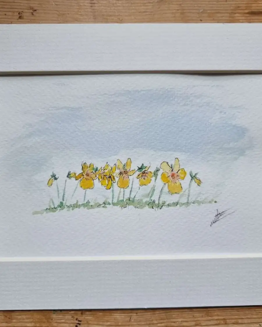 Mini Original Watercolour of wild pansies