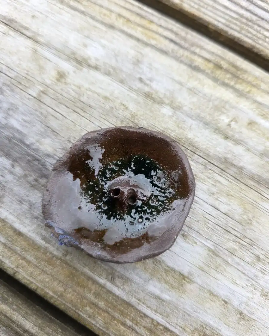 Ceramic button